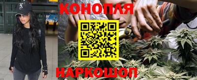 mdpv Уссурийск