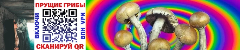 Псилоцибиновые грибы Magic Shrooms  Россошь 