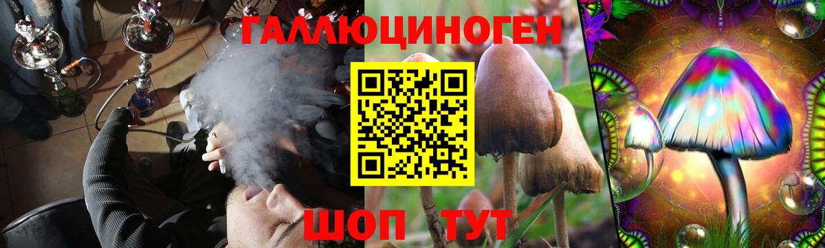 Галлюциногенные грибы Psilocybe Россошь